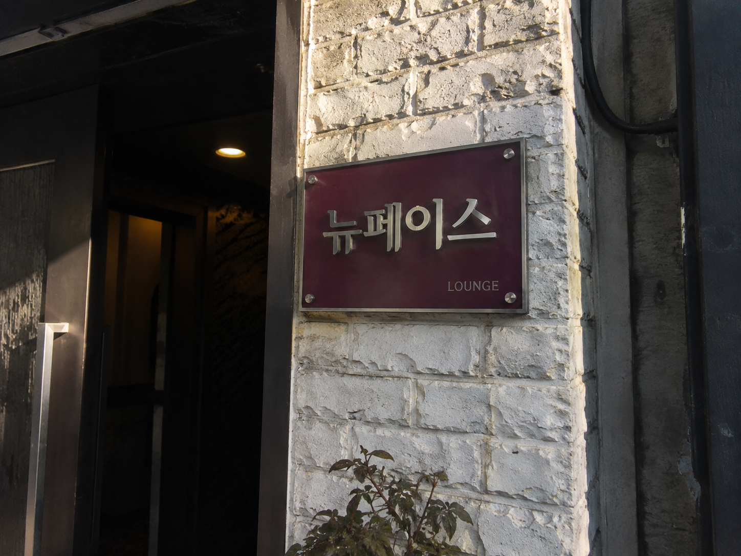 진주호빠 뉴페이스 간판